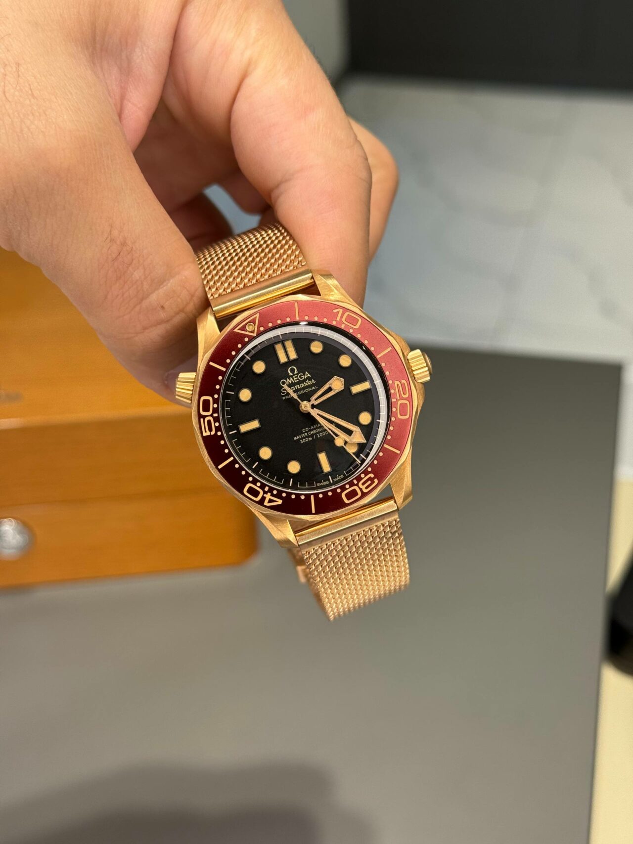 Omega Seamaster Bronze Gold