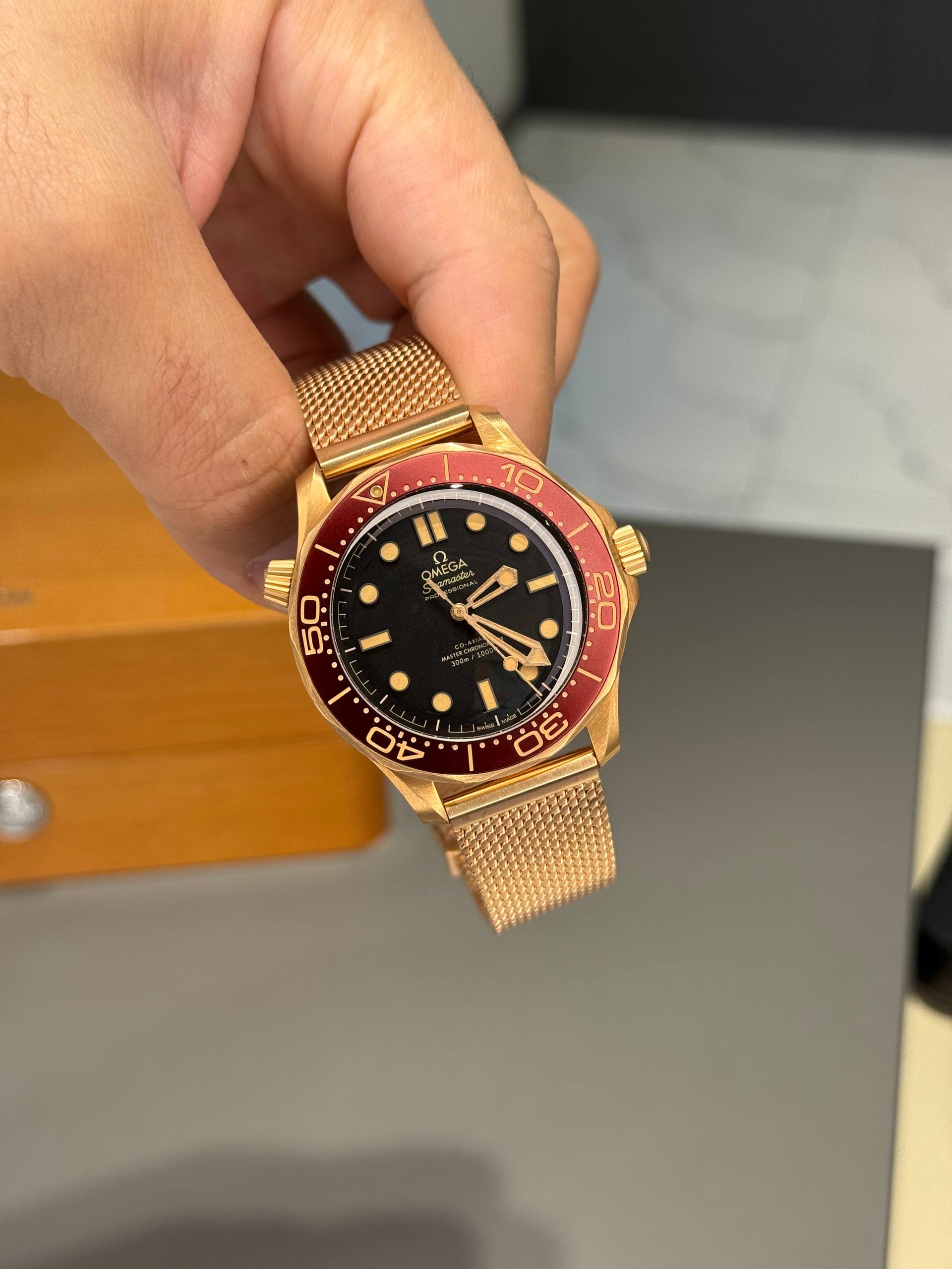Omega Seamaster Bronze Gold